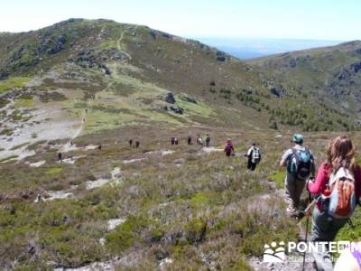 Senderismo Segovia - Macizo de la Buitrera; caminatas sierra madrid